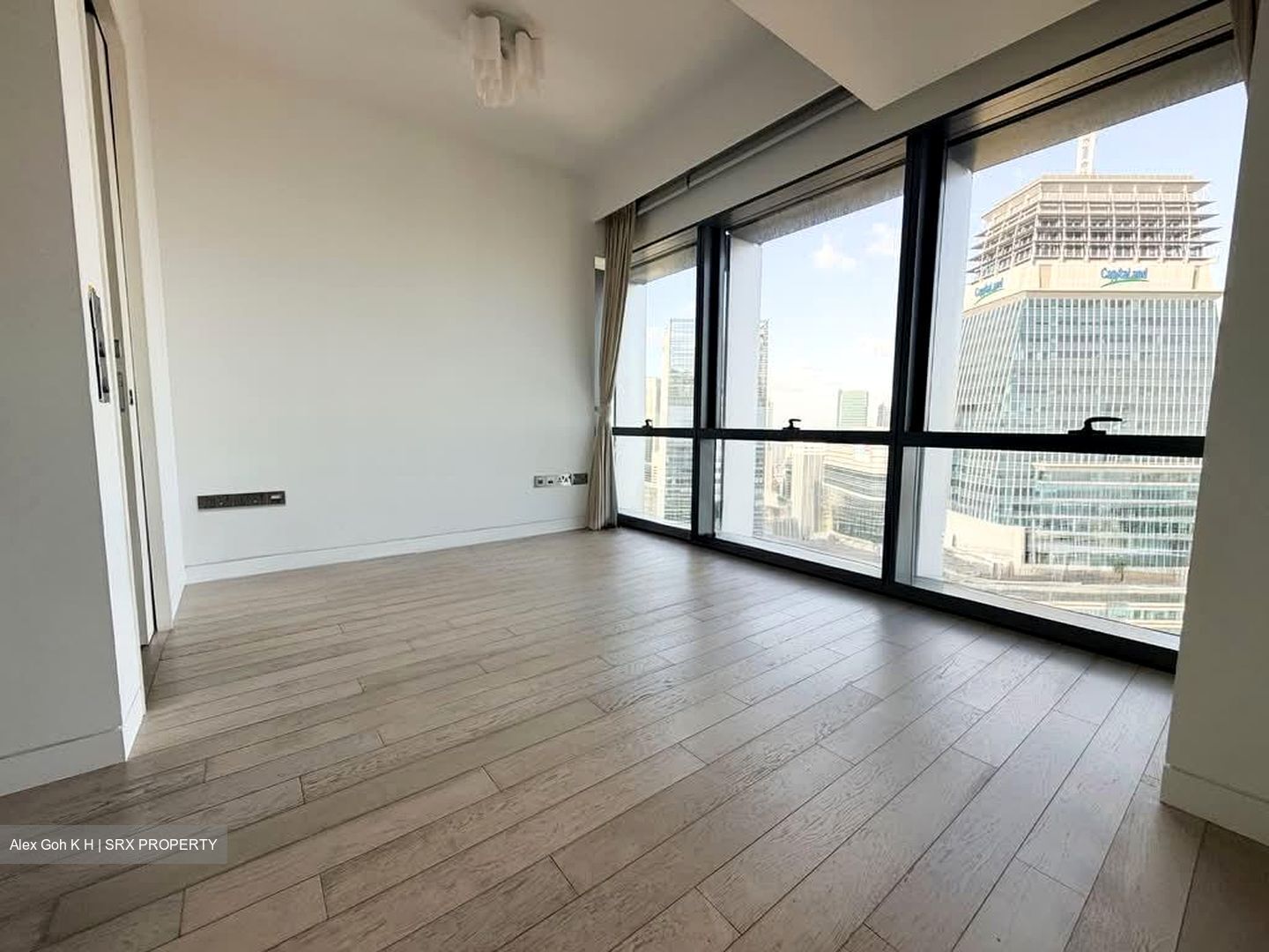 Wallich Residence  (D2), Condominium #585538211